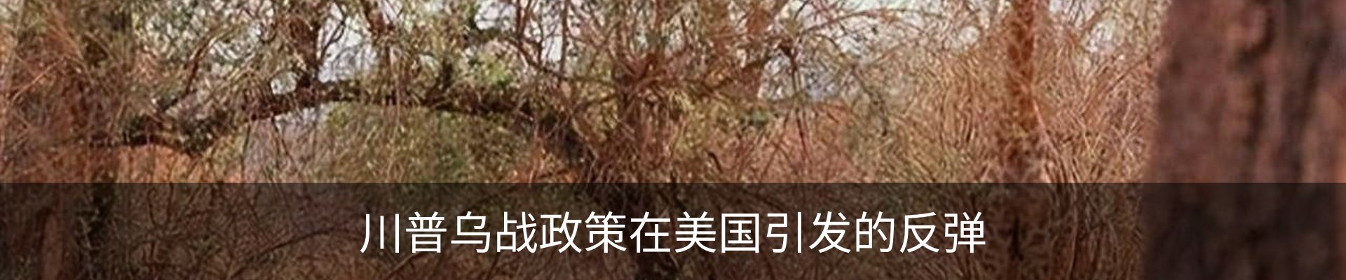 行业资讯